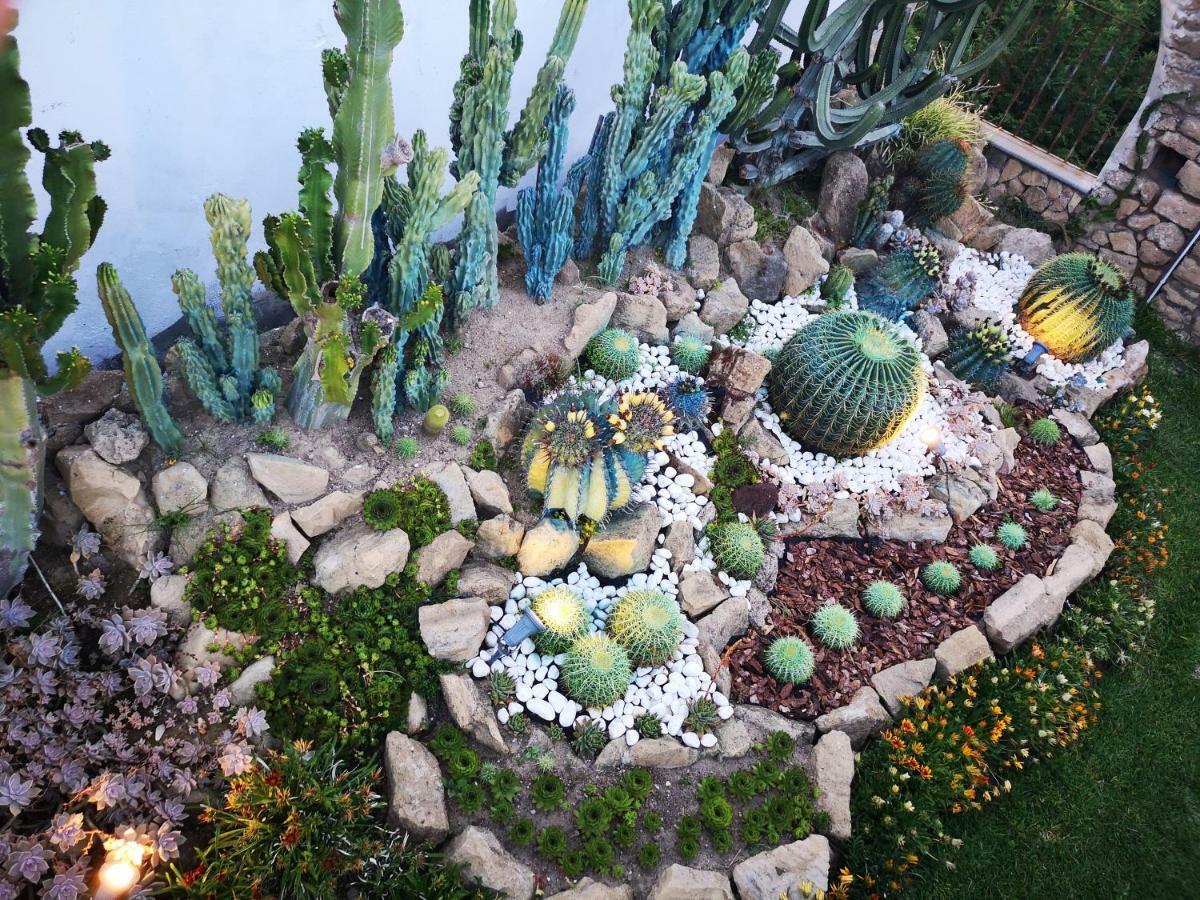 B&B Villa Rosalia Procida Exterior foto
